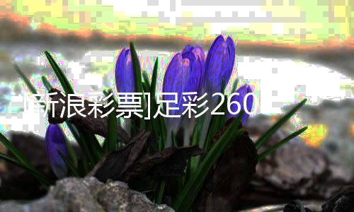 布票新9期浪彩拉加防平谨慎盈亏足彩指数
